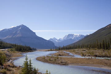 tangle ridge in canadian rockies alberta