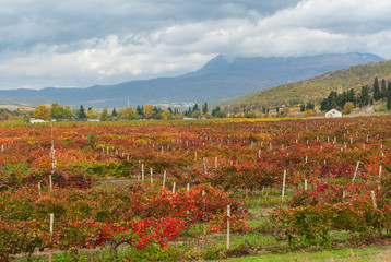 Fototapeta na wymiar Mountain landscape near Alushta city at fall season - Crimean peninsula