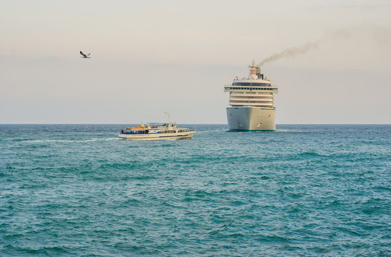 Ships, gull and horizon - Black Sea evening scenery