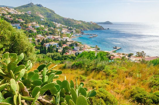 Cactuses and bay of Greek houses on coast, Greece