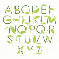 Vector green eco alphabet