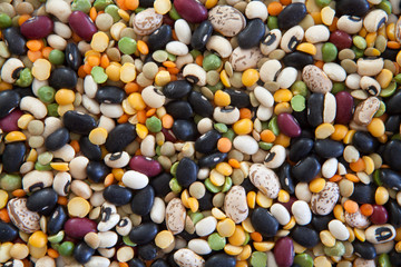 Legumes