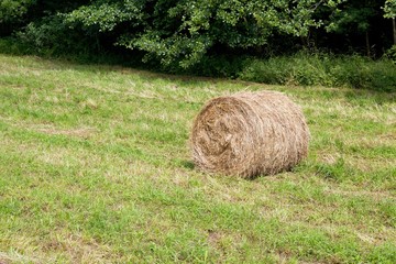 Rotolo di fieno