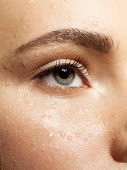 Beautiful female skin clean with water drops