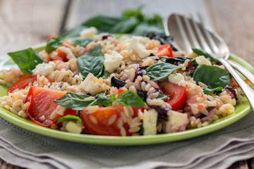 Orzo pasta with basil, tomatoes and cheese.