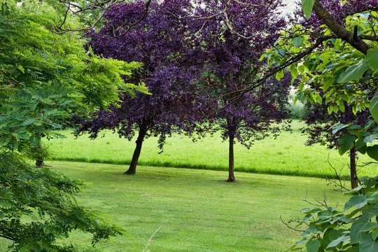 Parco di Monasterolo