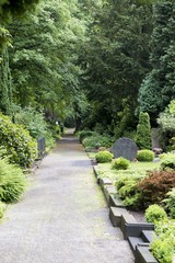 Fototapeta premium Friedhof, Gräberreihe