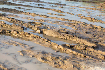 mud puddle on a dirt road