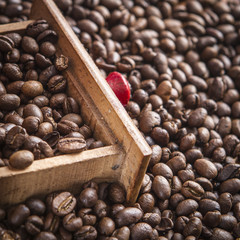 Coffee beans
