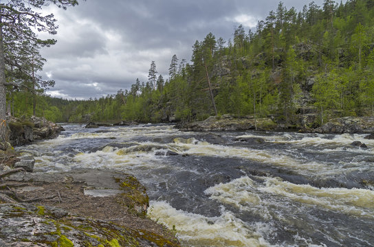 Rapids on Kutsayoki river, Murmansk region, Russia.