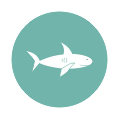 Shark icon