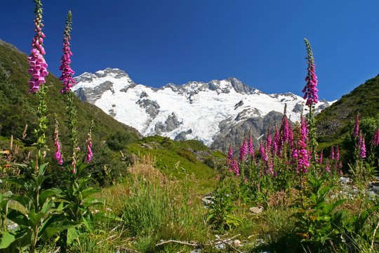 Mount Cook National Park In New Zealand