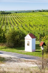 God's torture near Hnanice with vineyard, Southern Moravia, Cze