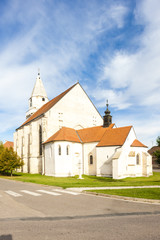 Fototapeta na wymiar Church of St. Wolfgang in Hnanice, Czech Republic