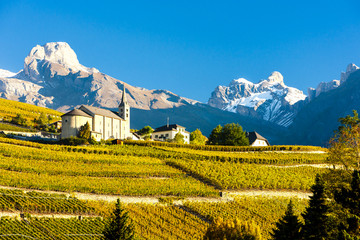 vineyards below church at Conthey, Sion region, canton Valais, S - obrazy, fototapety, plakaty