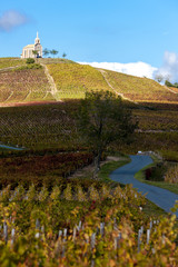 vineyards grand cru in Beaujolais witha church, Fleurie, Rhone-A