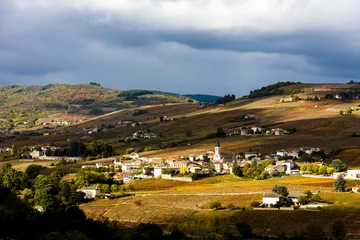 Foto op Canvas village Julienas with vineyards in Beaujolais, Rhone-Alpes, Fran © Richard Semik