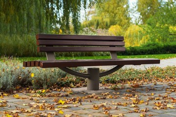 Stylish bench in autumn park