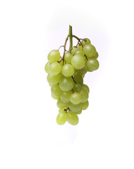  bunch of grapes on white background