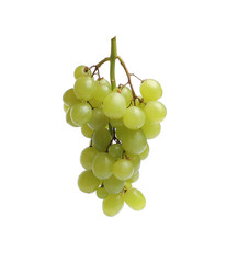 white grape, green, isolated