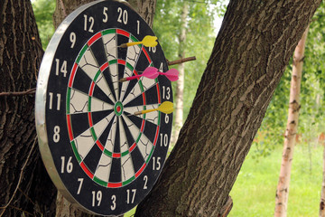 Darts 7