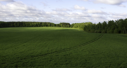 picturesque landscape