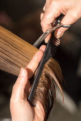 cutting hair in a beauty salon