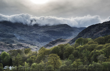 Forest landscape next to Coniston Water in Lake District with mo