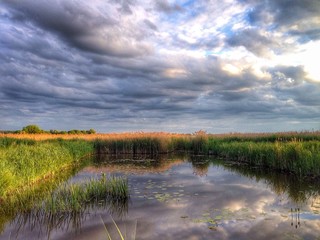 Pejzaż ze stawem © Tomasz Niewęgłowski