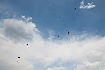 Many paratroopers dropped on the battlefield 