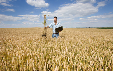 Naklejka na ściany i meble Farmer with laptop and wheat bunch