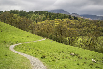 Lake District landscape with stormy sky over countryside anf fie