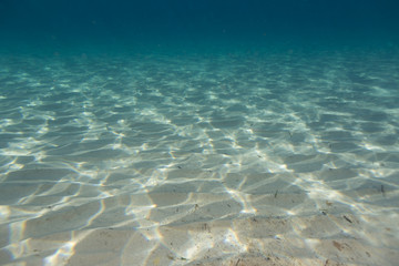FONDO MARINO DE ARENA