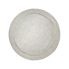 Empty vector vintage template for coins or medals with the old antique silver metal texture