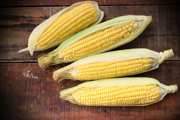 fresh corn on wooden table