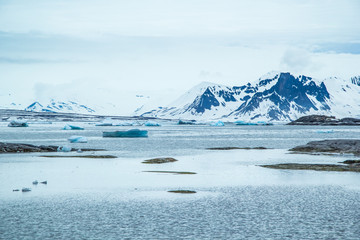 Arctic spring in south Spitsbergen