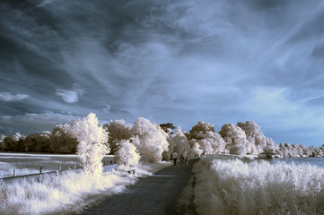 Stunning beautioful unique infra red landscape with false color
