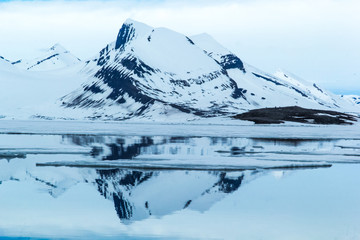 Arctic spring in south Spitsbergen © KrisGrabiec