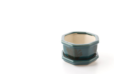 small potted isolated on white background