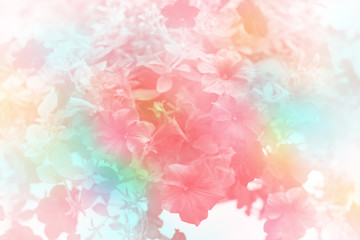 flower made by color filter for background