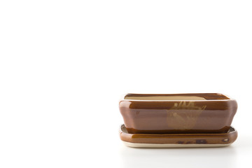 small potted isolated on white background