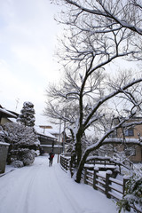 Japanese House with snow