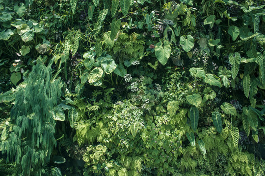 Vertical Garden