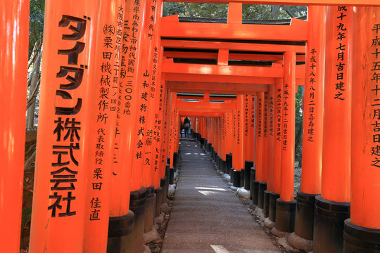 Fushimi Inari Taisha Shrine in Kyoto, Japan