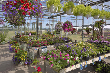 Farm and garden nursery in Canby Oregon.