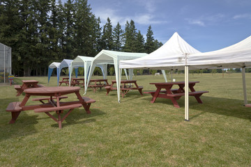 Obraz na płótnie Canvas Picnic tables and tent gazebos on outdoor lawn.
