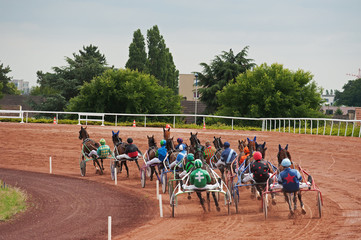 course hippique