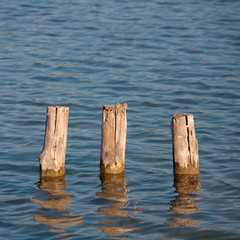 Old pier poles