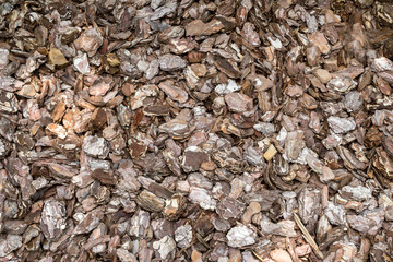 Flakes of bark