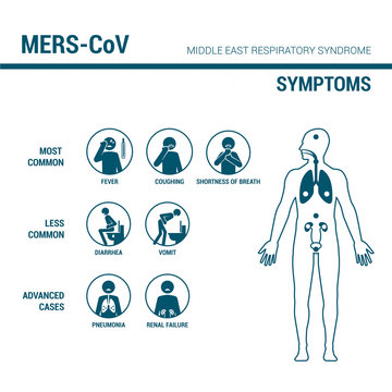 Mers symptoms infographics